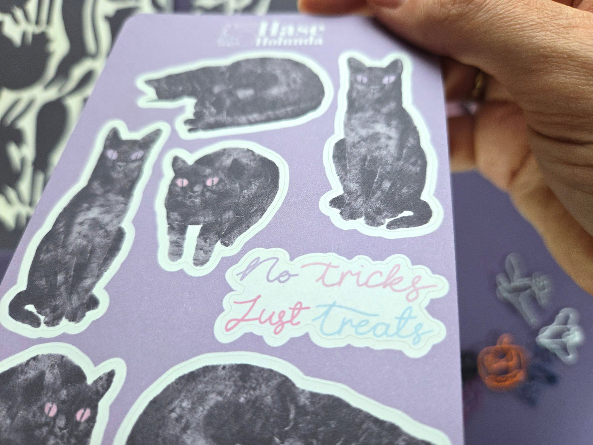 Black Cat A5 Notebook Gift Set